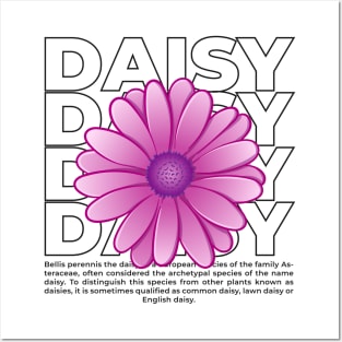 Outline purple daisy flower with text Posters and Art